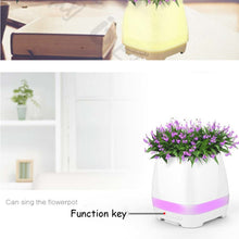 Pot de fleur Mini Bluetooth Speakers Wireless FM Radio